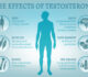 5 Signs Your Testosterone Might Be Low – And What to Do About It